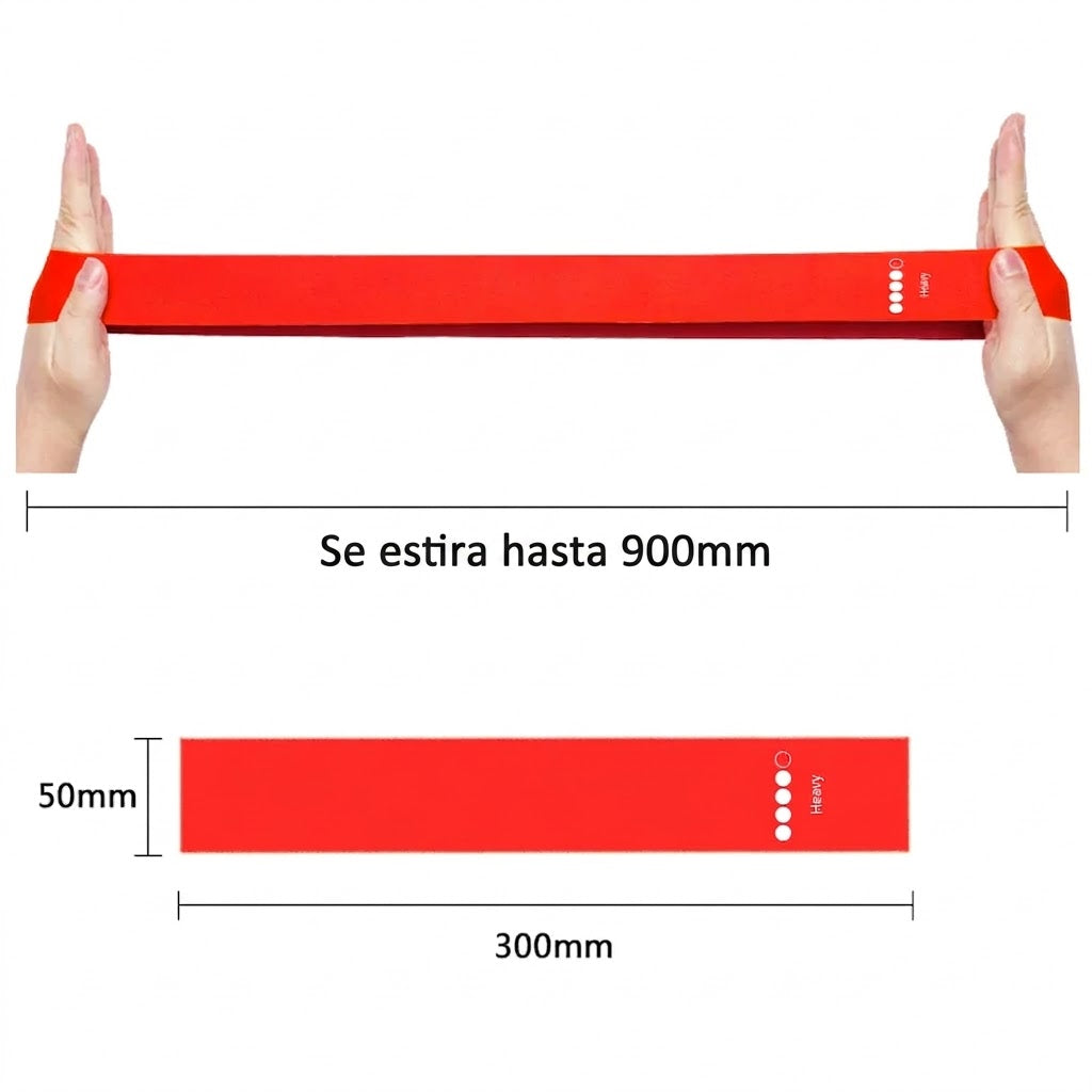 Bandas LAB – 5 Niveles de Resistencia