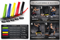 Bandas LAB – 5 Niveles de Resistencia