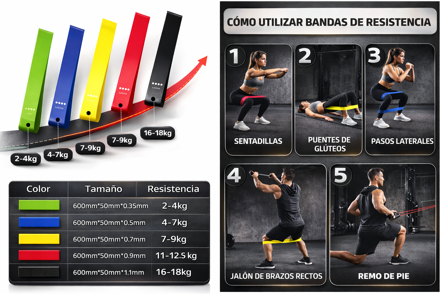 Bandas LAB – 5 Niveles de Resistencia